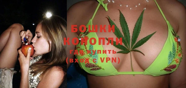 дмт Белокуриха