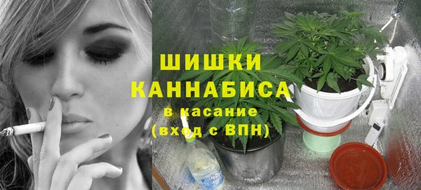 дмт Белокуриха