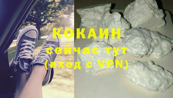 дмт Белокуриха