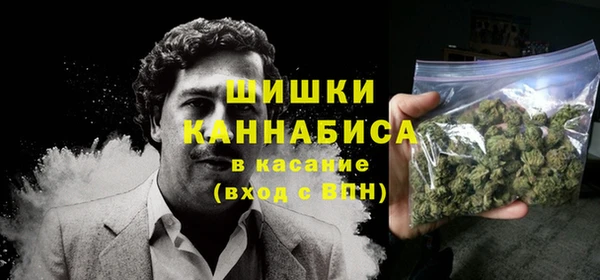 дмт Белокуриха
