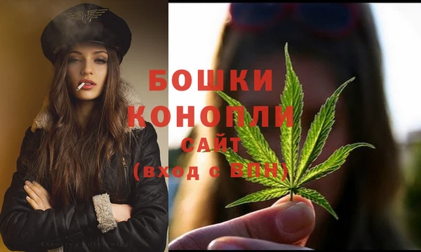 дмт Белокуриха
