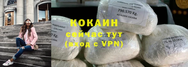 дмт Белокуриха