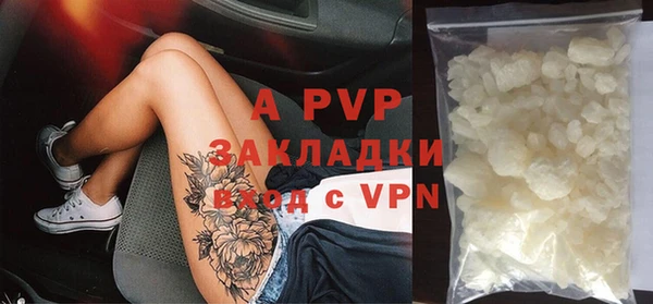 дмт Белокуриха