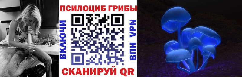 Галлюциногенные грибы мицелий  shop какой сайт  Черноголовка  купить наркоту 